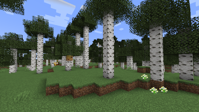 Birken-Urwald mit 1.19