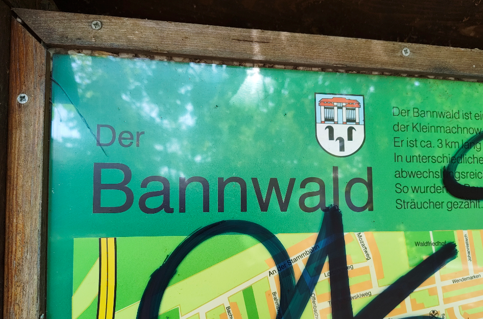 Bannwald.png