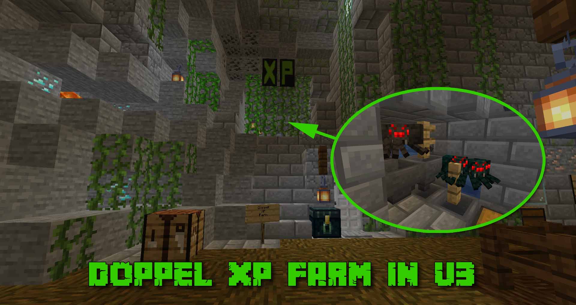 Doppel-XP-Farm.jpg