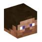 Steve.webp