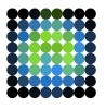 dot1.3.JPG