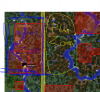 Unbenannt.PNG