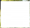 Unbenannt3.PNG