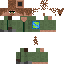Skin.png