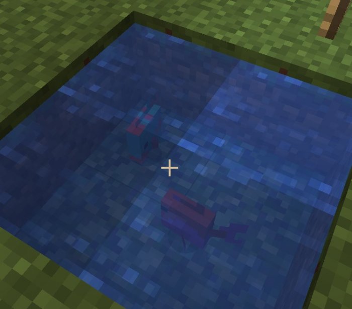 Zappler und Blockfisch.jpg