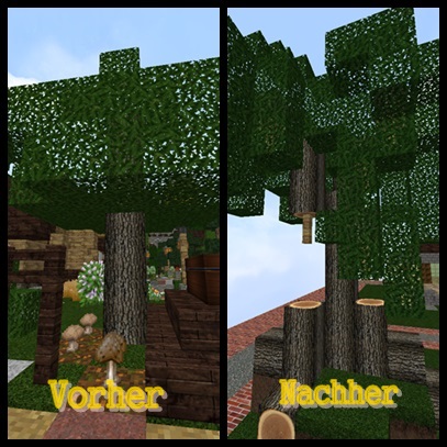 Eichenbaum.jpg