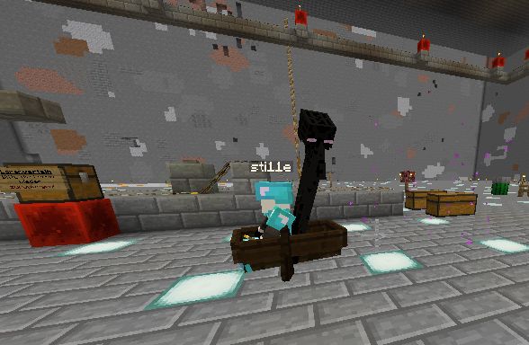 sti11e mit Enderman.jpg