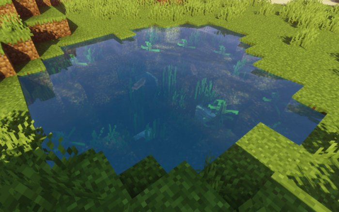 see3.jpg