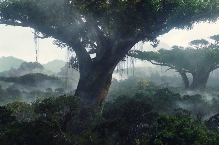 HeimathBaum.jpg
