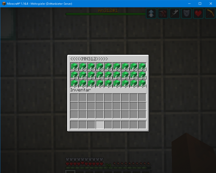 Minecraft_ 1.16.4 18.02.2021 17_21_10.png