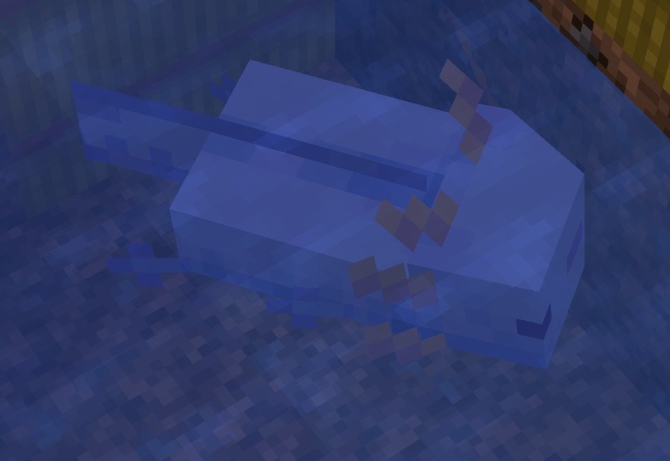 axo_blau.jpg