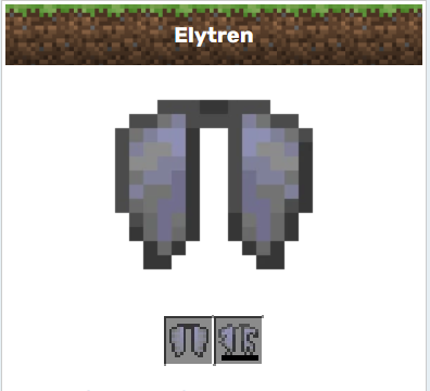 Elytra.PNG