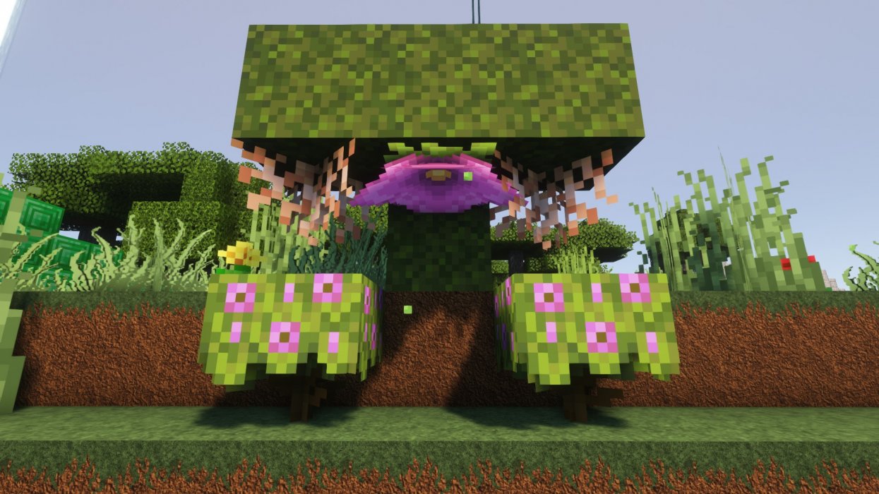 Sporenblüte.jpg