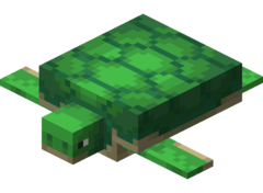 Schildkr%3Fte.png