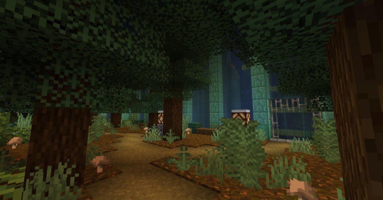 forest.jpg