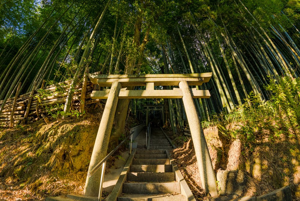 secret-bamboo-forest-fushimi-inari-taisha-shrine-kyoto-japan-640.jpg