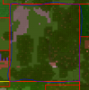 ChickenUp #2.PNG
