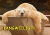 C__Data_Users_DefApps_AppData_INTERNETEXPLORER_Temp_Saved Images_fijn_290212.jpg