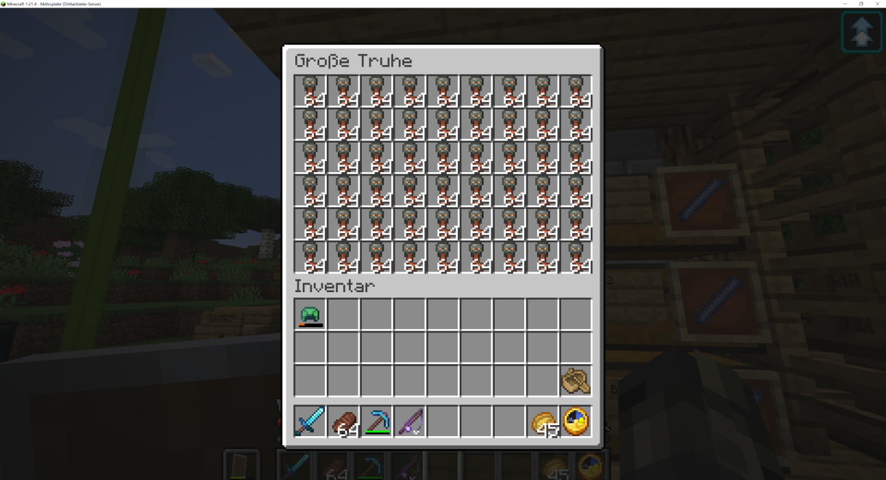 Minecraft 1.21.4 - Mehrspieler (Drittanbieter-Server) 23.03.2025 17_05_30.png