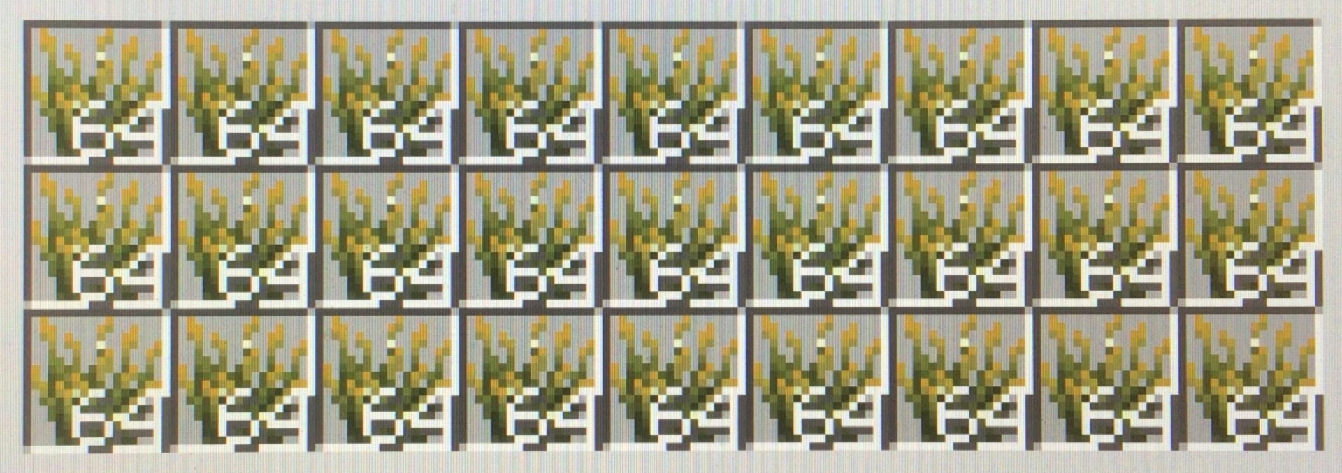 IMG_0597.jpeg