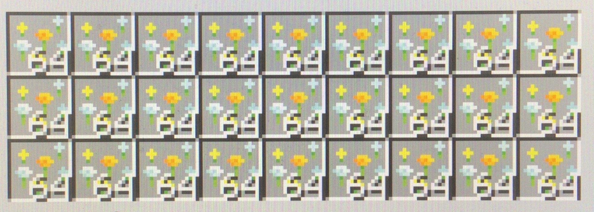 IMG_0600.jpeg