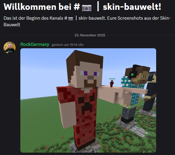 Discord-Skin-Bauwelt.png