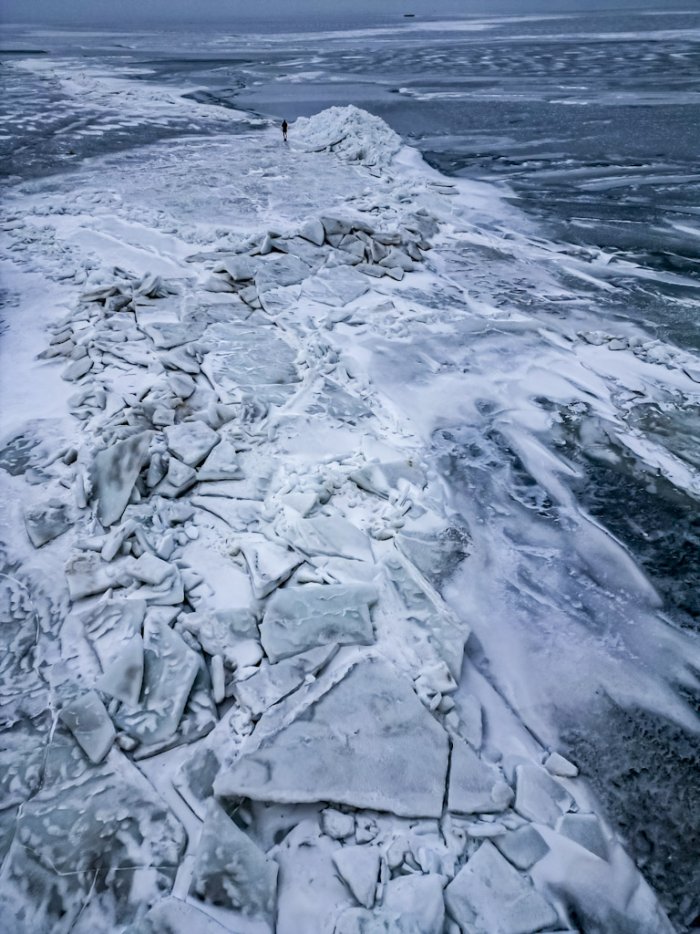 Loissin, ca 500m vom Strand Mecklenburg- Vorpommer 09.02.26-1.jpeg