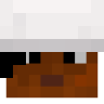 DrivenPancake51